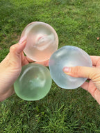 Coconut Oil Pastel Jelly Squishy