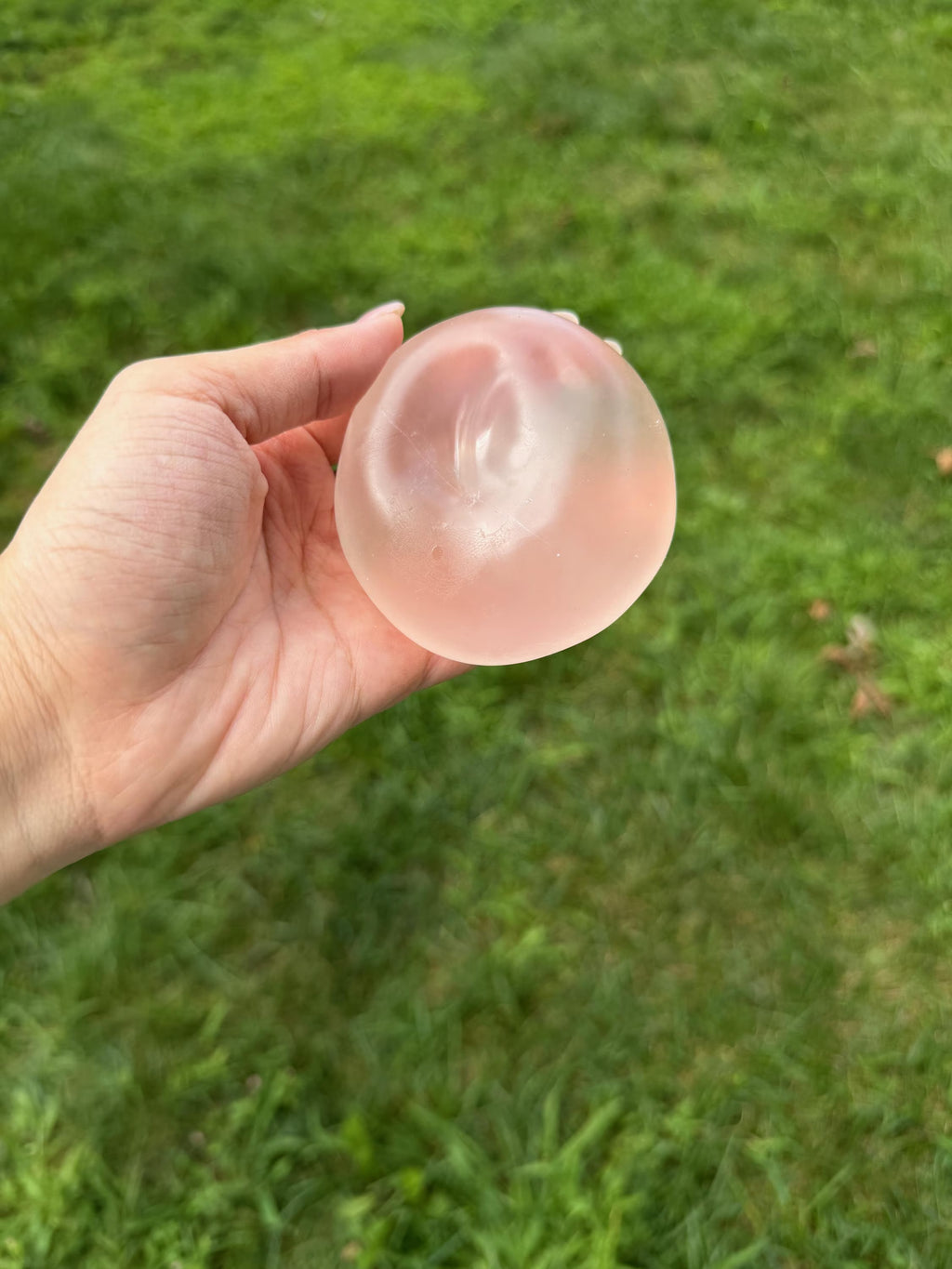 Coconut Oil Pastel Jelly Squishy