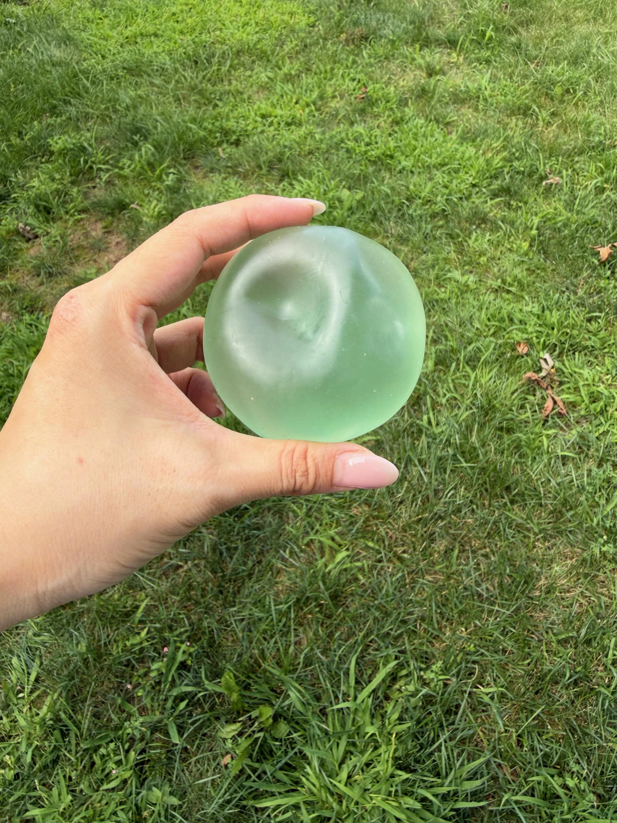 Coconut Oil Pastel Jelly Squishy